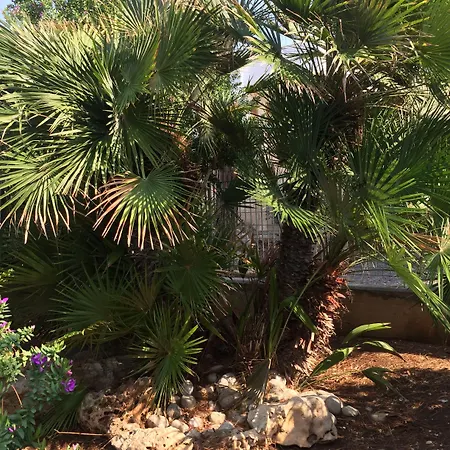 Πανσιόν Palese Profumo Di Mare 3*