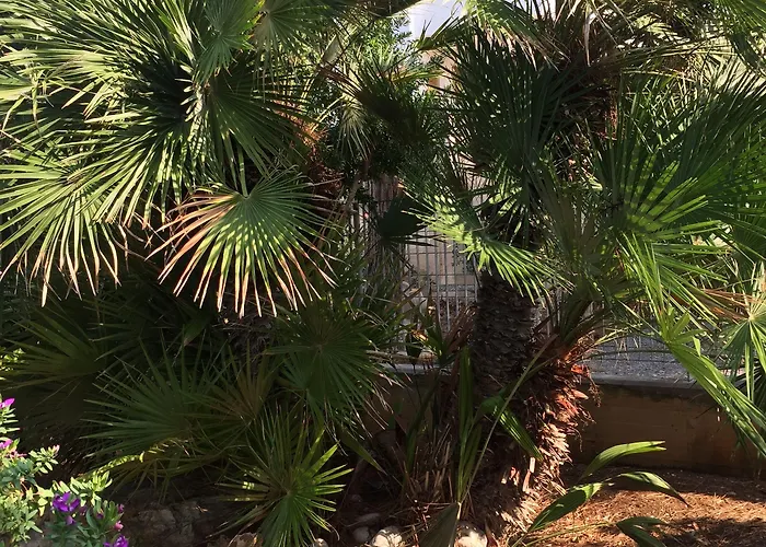 بيت ضيافة Palese Profumo Di Mare 2*