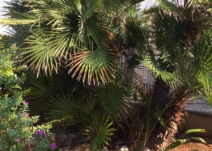 Palese Profumo Di Mare